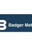 BADGER METER